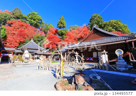 【京都府】快晴の楊谷寺(柳谷観音)の阿弥陀堂と紅葉 【京都府】快晴の楊谷寺(柳谷観音)の阿弥陀堂と紅葉 134493577