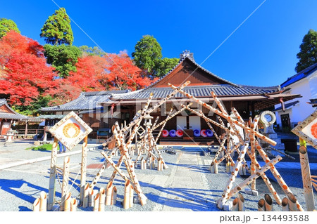 【京都府】快晴の楊谷寺（柳谷観音）の阿弥陀堂と紅葉 134493588