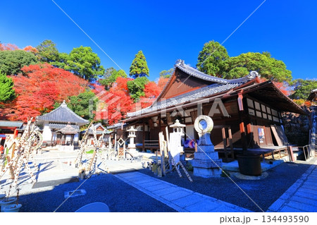 【京都府】快晴の楊谷寺（柳谷観音）の阿弥陀堂と紅葉 134493590