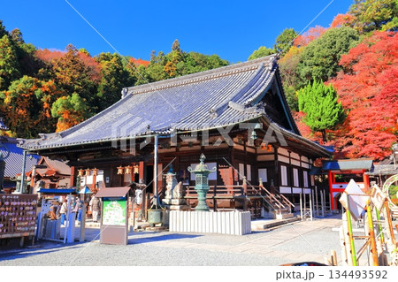 【京都府】快晴の楊谷寺(柳谷観音)の本堂と紅葉 【京都府】快晴の楊谷寺(柳谷観音)の本堂と紅葉 134493592