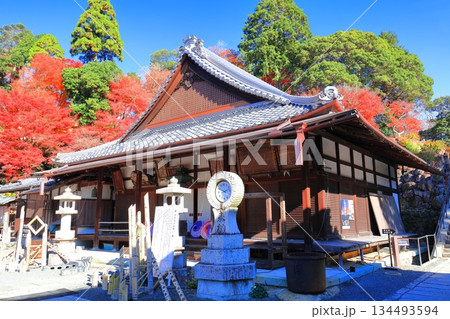 【京都府】快晴の楊谷寺（柳谷観音）の阿弥陀堂と紅葉 134493594