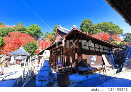 【京都府】快晴の楊谷寺(柳谷観音)の阿弥陀堂と紅葉 【京都府】快晴の楊谷寺(柳谷観音)の阿弥陀堂と紅葉 134493598