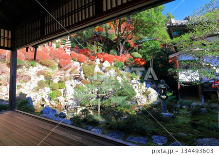 【京都府】快晴の楊谷寺(柳谷観音)の浄土苑の紅葉 【京都府】快晴の楊谷寺(柳谷観音)の浄土苑の紅葉 134493603