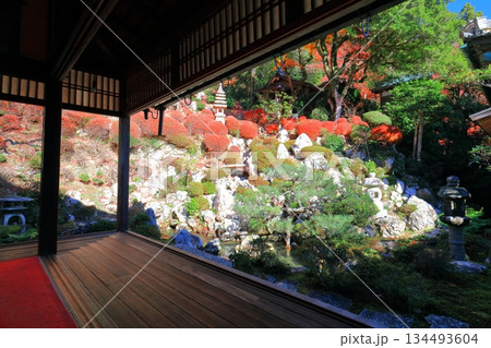 【京都府】快晴の楊谷寺（柳谷観音）の浄土苑の紅葉 134493604