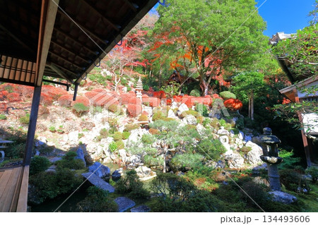 【京都府】快晴の楊谷寺(柳谷観音)の浄土苑の紅葉 【京都府】快晴の楊谷寺(柳谷観音)の浄土苑の紅葉 134493606