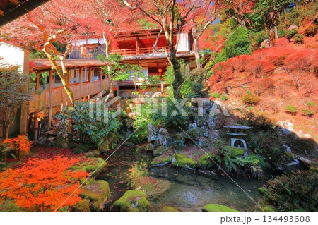 【京都府】快晴の楊谷寺（柳谷観音）の浄土苑の紅葉 134493608