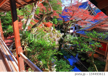 【京都府】快晴の楊谷寺(柳谷観音)の上書院の紅葉 【京都府】快晴の楊谷寺(柳谷観音)の上書院の紅葉 134493611