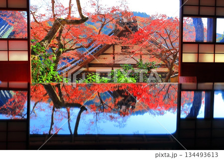 【京都府】快晴の楊谷寺(柳谷観音)の上書院の紅葉 【京都府】快晴の楊谷寺(柳谷観音)の上書院の紅葉 134493613