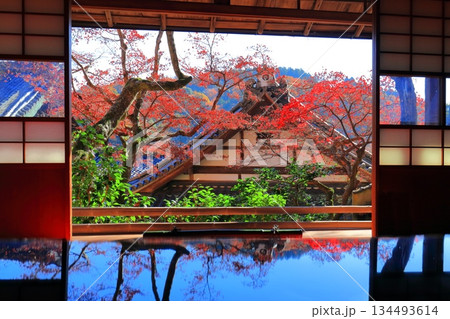 【京都府】快晴の楊谷寺（柳谷観音）の上書院の紅葉 134493614