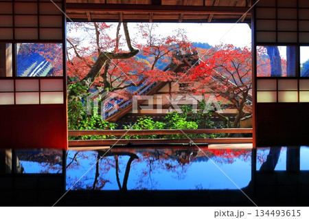 【京都府】快晴の楊谷寺（柳谷観音）の上書院の紅葉 134493615