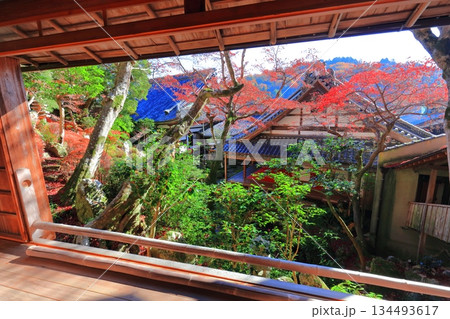 【京都府】快晴の楊谷寺（柳谷観音）の上書院の紅葉 134493617