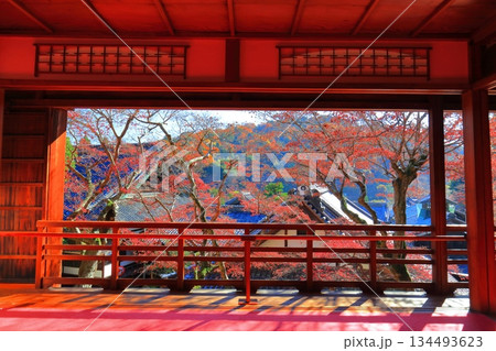 【京都府】快晴の楊谷寺（柳谷観音）の上書院の紅葉 134493623