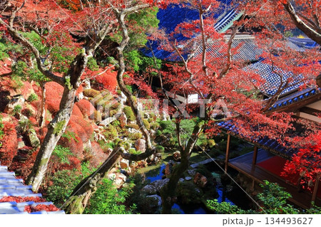 【京都府】快晴の楊谷寺（柳谷観音）の浄土苑の紅葉 134493627