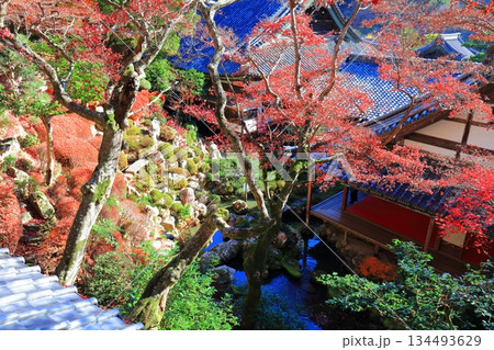 【京都府】快晴の楊谷寺(柳谷観音)の浄土苑の紅葉 【京都府】快晴の楊谷寺(柳谷観音)の浄土苑の紅葉 134493629