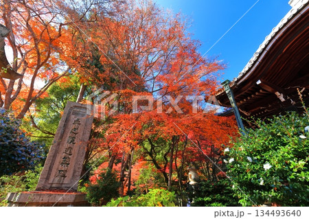 【京都府】快晴の楊谷寺（柳谷観音）の柳谷奥之院の紅葉 134493640