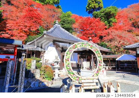 【京都府】快晴の楊谷寺(柳谷観音)の護摩堂と紅葉 【京都府】快晴の楊谷寺(柳谷観音)の護摩堂と紅葉 134493654