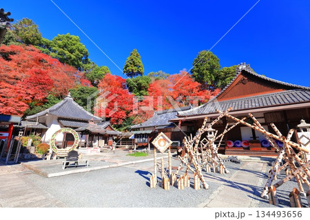 【京都府】快晴の楊谷寺(柳谷観音)の阿弥陀堂と紅葉 【京都府】快晴の楊谷寺(柳谷観音)の阿弥陀堂と紅葉 134493656