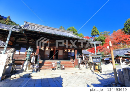 【京都府】快晴の楊谷寺(柳谷観音)の本堂と紅葉 【京都府】快晴の楊谷寺(柳谷観音)の本堂と紅葉 134493659
