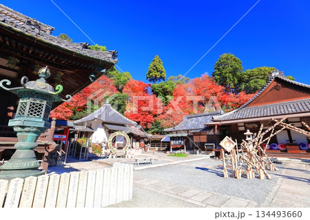 【京都府】快晴の楊谷寺（柳谷観音）の阿弥陀堂と紅葉 134493660