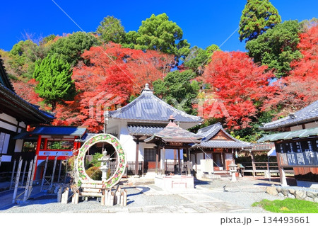 【京都府】快晴の楊谷寺（柳谷観音）の護摩堂と紅葉 134493661