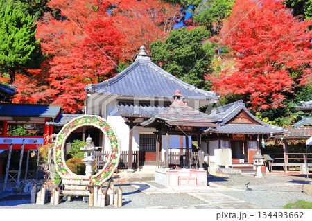 【京都府】快晴の楊谷寺(柳谷観音)の護摩堂と紅葉 【京都府】快晴の楊谷寺(柳谷観音)の護摩堂と紅葉 134493662