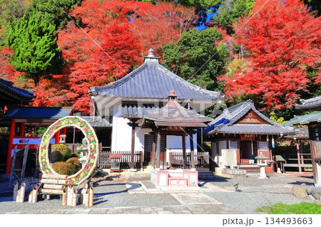 【京都府】快晴の楊谷寺(柳谷観音)の護摩堂と紅葉 【京都府】快晴の楊谷寺(柳谷観音)の護摩堂と紅葉 134493663