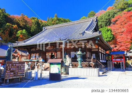 【京都府】快晴の楊谷寺（柳谷観音）の本堂と紅葉 134493665