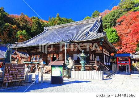 【京都府】快晴の楊谷寺(柳谷観音)の本堂と紅葉 【京都府】快晴の楊谷寺(柳谷観音)の本堂と紅葉 134493666