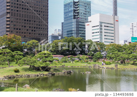 旧芝離宮恩賜庭園の池と松林、背後に広がる都心ビル群 134493698