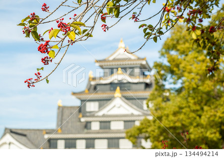 「岡山県」（12月）【城】　岡山県岡山市の岡山城を巡る　黒い城壁が特徴の烏城 134494214