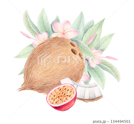 Coconut, passion fruit and plumeria flowers summer exotic clip art, tropical botanical hand-drawn illustration isolated on white. Coconut, passion fruit and plumeria flowers summer exotic clip art, tropical botanical hand-drawn illustration isolated on white. 134494501