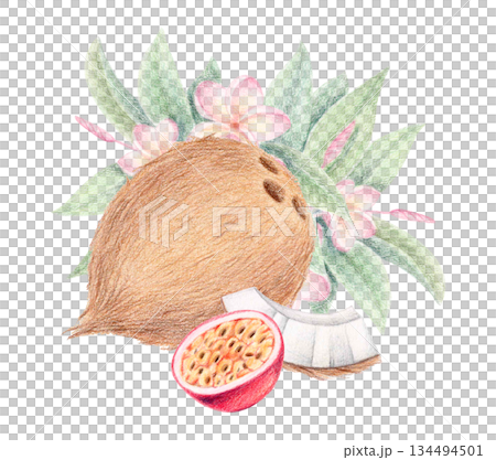 Coconut, passion fruit and plumeria flowers summer exotic clip art, tropical botanical hand-drawn illustration isolated on white. Coconut, passion fruit and plumeria flowers summer exotic clip art, tropical botanical hand-drawn illustration isolated on white. 134494501