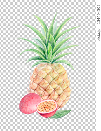 Pineapple and passion fruit summer exotic composition, watercolor and colored pencil isolated tropical fruit illustration. Pineapple and passion fruit summer exotic composition, watercolor and colored pencil isolated tropical fruit illustration. 134494503