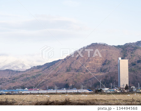 【山形線】ハクチョウのいる田園風景を走行する新幹線つばさ号 134494568