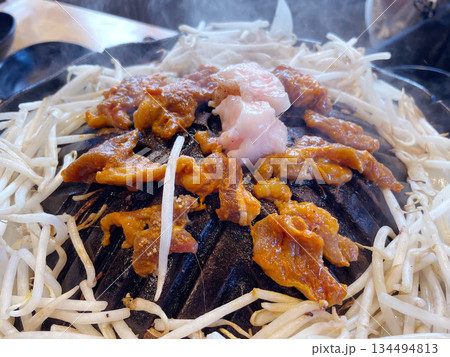 北海道名物 ジンギスカン ラム肉 北海道名物 ジンギスカン ラム肉 134494813