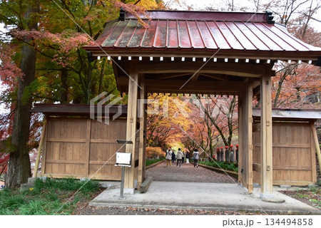 佐野市　金蔵院山門と紅葉 134494858