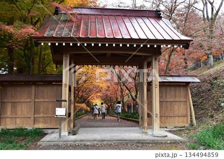 佐野市 金蔵院山門と紅葉 佐野市 金蔵院山門と紅葉 134494859