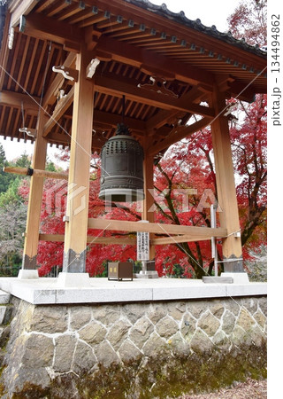 佐野市　金蔵院鐘楼と紅葉 134494862