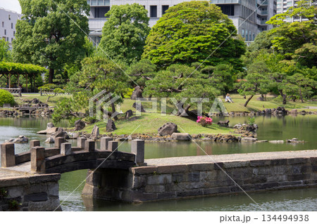 旧芝離宮恩賜庭園の石橋と池、松の緑につつじが映える風景 134494938