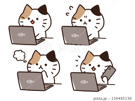パソコンねこ 134495130
