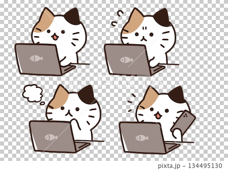 Personal computer cat 134495130
