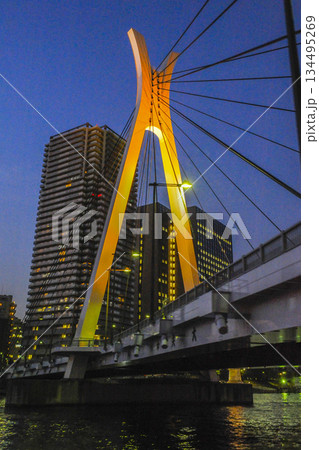 隅田川に架かるライトアップされた中央大橋を見上げた夕景 134495269