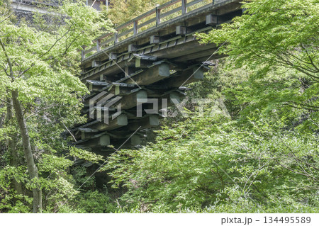 猿の身体で作られたように見える猿橋・大月市 134495589