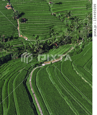 Landscaped Terraces Built To Facilitate Rice Growing And Water Management 134495899
