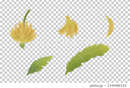 Set elements: bananas on a branch, banana, palm leaves. Cartoon illustration in a flat style. Watercolor, pastel. For design of children's products 134496142