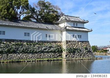 佐和口多門櫓北東側と中堀(彦根城) 佐和口多門櫓北東側と中堀(彦根城) 134496163