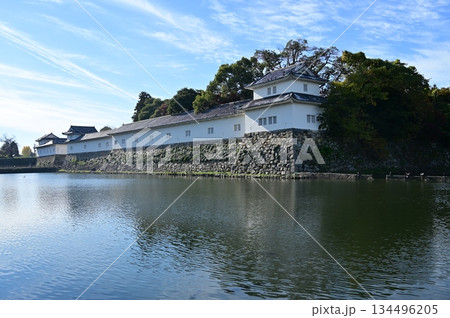 佐和口多門櫓と水堀（彦根城） 134496205