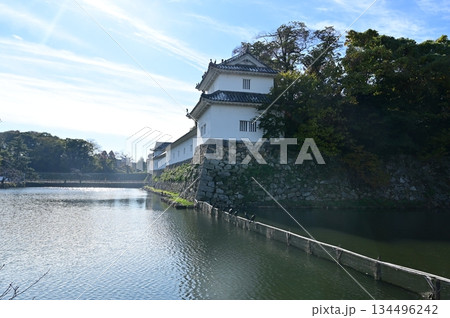 佐和口多門櫓と水堀（彦根城） 134496242