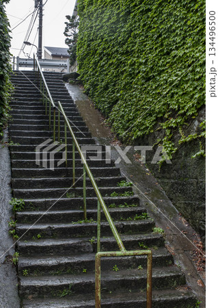 上の道につづく雨上がりの長い階段・文京区 134496500