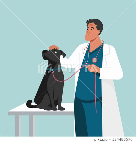 Minimalist Vector Illustration of Veterinarian Examining Dog Minimalist Vector Illustration of Veterinarian Examining Dog 134496576